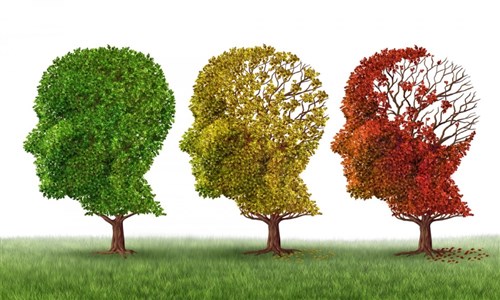 Dia Mundial da Doença de Alzheimer - Ver mais